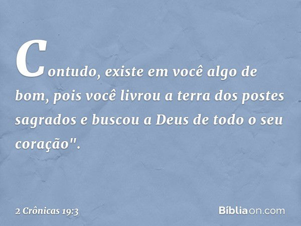 Contudo, existe em você algo de bom, pois você livrou a terra dos postes sagrados e buscou a Deus de todo o seu coração". -- 2 Crônicas 19:3