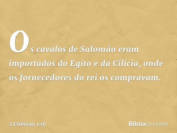 Os cavalos de Salomão eram importados do Egito e da Cilícia, onde os fornecedores do rei os compravam. -- 2 Crônicas 1:16