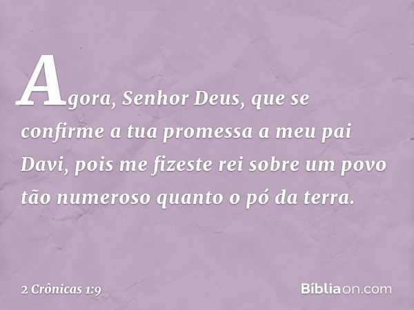 Agora, Senhor Deus, que se confirme a tua promessa a meu pai Davi, pois me fizeste rei sobre um povo tão numeroso quanto o pó da terra. -- 2 Crônicas 1:9