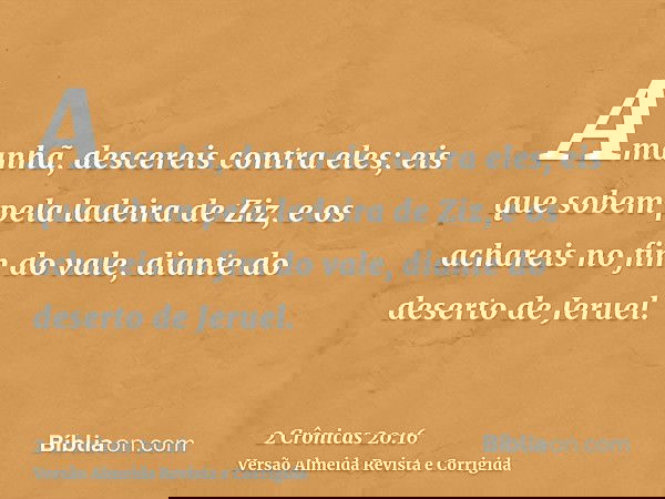 Amanhã, descereis contra eles; eis que sobem pela ladeira de Ziz, e os achareis no fim do vale, diante do deserto de Jeruel.
