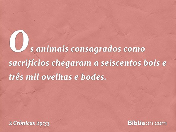 Os animais consagrados como sacrifícios chegaram a seiscentos bois e três mil ovelhas e bodes. -- 2 Crônicas 29:33