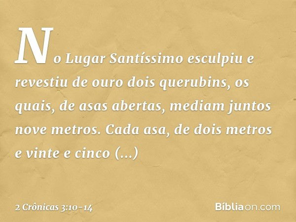 No Lugar Santíssimo esculpiu e revestiu de ouro dois querubins, os quais, de asas abertas, mediam juntos nove metros. Cada asa, de dois metros e vinte e cinco c