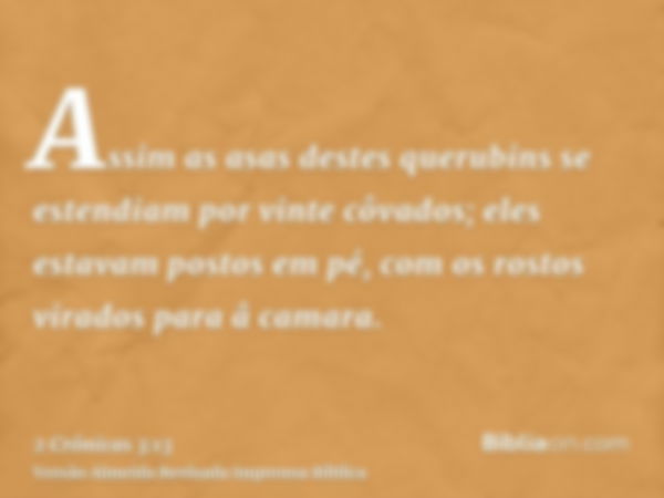 Assim as asas destes querubins se estendiam por vinte côvados; eles estavam postos em pé, com os rostos virados para â camara.