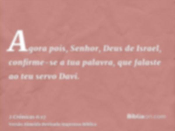 Agora pois, Senhor, Deus de Israel, confirme-se a tua palavra, que falaste ao teu servo Davi.