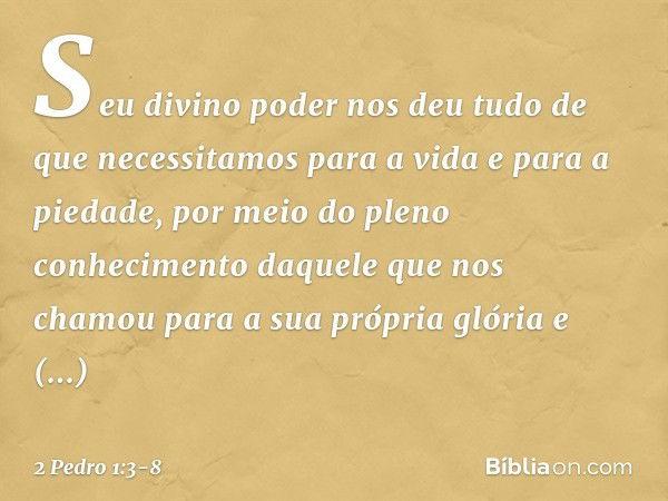 Seu divino poder nos deu tudo de que necessitamos para a vida e para a piedade, por meio do pleno conhecimento daquele que nos chamou para a sua própria glória 