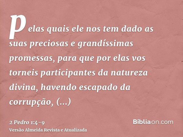 Somos Pedras Vivas - Fica tranquilo, não se desespera. Se foi Deus quem  prometeu, a promessa está de pé, somente espera. Marque alguém e não diga  nada! • • • • #SomosPedrasVivas Siga: @somospedrasvivas, @opereirafael