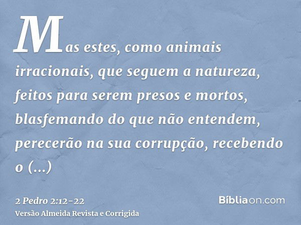 Mas estes, como animais irracionais, que seguem a natureza, feitos para serem presos e mortos, blasfemando do que não entendem, perecerão na sua corrupção,receb