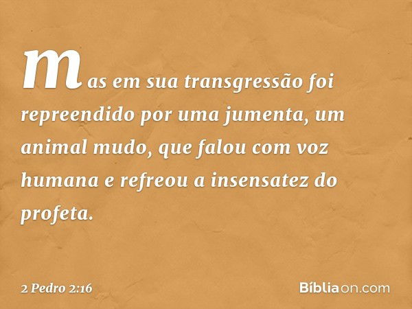 mas em sua transgressão foi repreendido por uma jumenta, um animal mudo, que falou com voz humana e refreou a insensatez do profeta. -- 2 Pedro 2:16