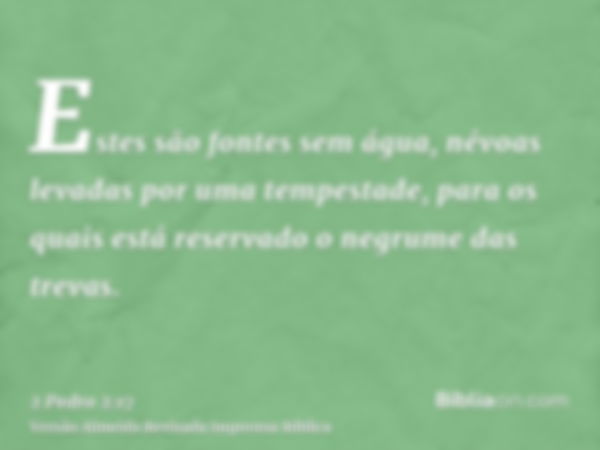 Estes são fontes sem água, névoas levadas por uma tempestade, para os quais está reservado o negrume das trevas.