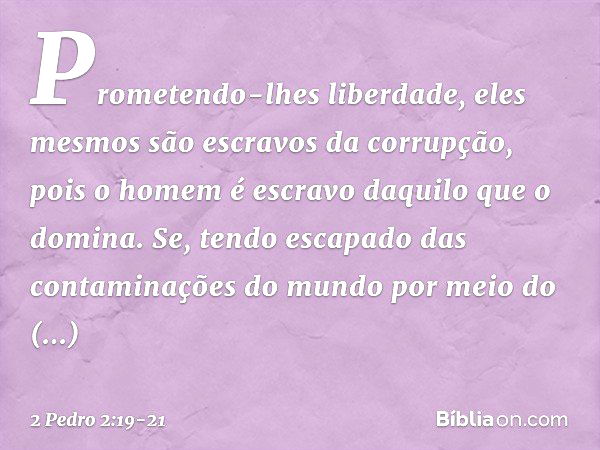 Prometendo-lhes liberdade, eles mesmos são escravos da corrupção, pois o homem é escravo daquilo que o domina. Se, tendo escapado das contaminações do mundo por