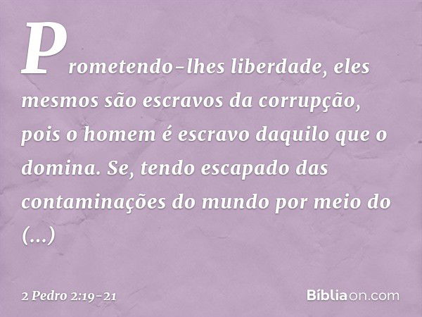 Prometendo-lhes liberdade, eles mesmos são escravos da corrupção, pois o homem é escravo daquilo que o domina. Se, tendo escapado das contaminações do mundo por