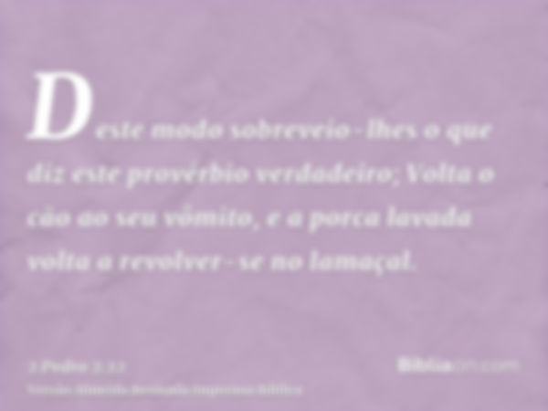 Deste modo sobreveio-lhes o que diz este provérbio verdadeiro; Volta o cão ao seu vômito, e a porca lavada volta a revolver-se no lamaçal.