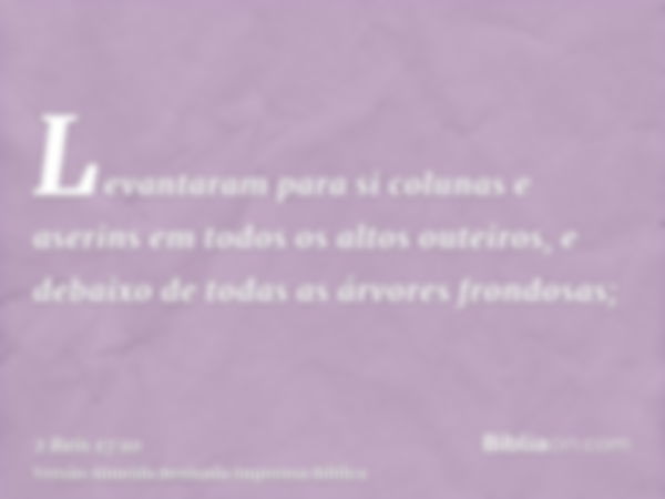 Levantaram para si colunas e aserins em todos os altos outeiros, e debaixo de todas as árvores frondosas;