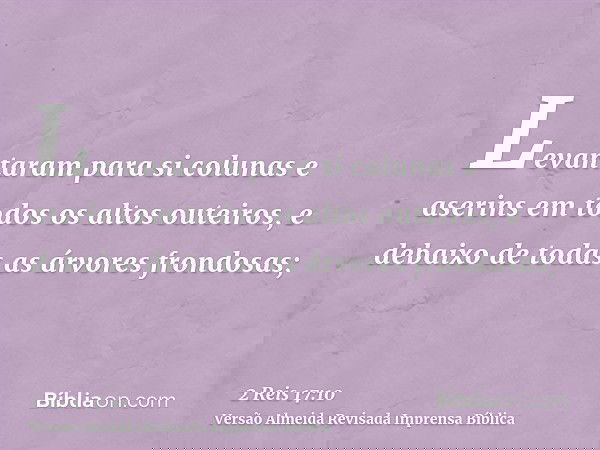 Levantaram para si colunas e aserins em todos os altos outeiros, e debaixo de todas as árvores frondosas;