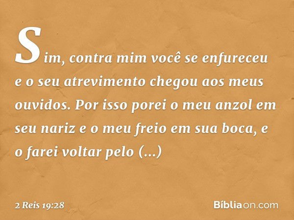 Sim, contra mim você se enfureceu
e o seu atrevimento
chegou aos meus ouvidos.
Por isso porei o meu anzol
em seu nariz
e o meu freio em sua boca,
e o farei volt