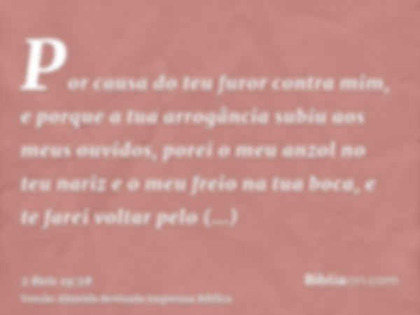 Por causa do teu furor contra mim, e porque a tua arrogância subiu aos meus ouvidos, porei o meu anzol no teu nariz e o meu freio na tua boca, e te farei voltar