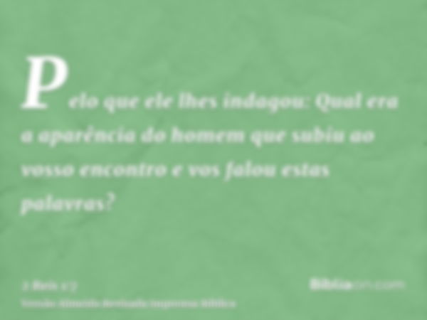 Pelo que ele lhes indagou: Qual era a aparência do homem que subiu ao vosso encontro e vos falou estas palavras?