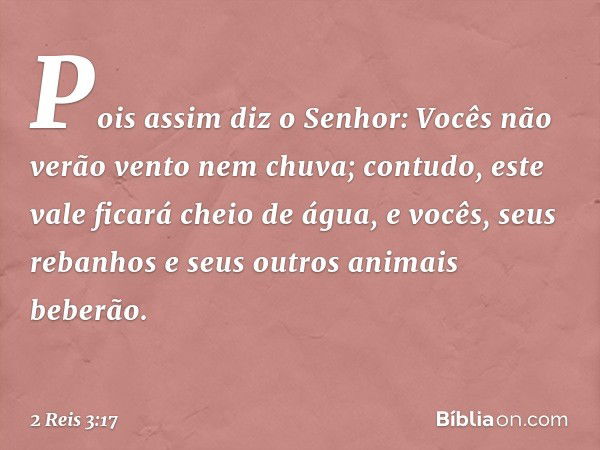 Pois assim diz o Senhor: Vocês não verão vento nem chuva; contudo, este vale ficará cheio de água, e vocês, seus rebanhos e seus outros animais beberão. -- 2 Re