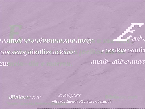 E ele o tomou e o levou a sua mãe; e esteve sobre os seus joelhos até ao meio-dia e morreu.