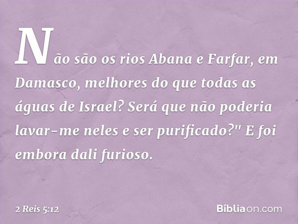 Não são os rios Abana e Farfar, em Damasco, melhores do que todas as águas de Israel? Será que não poderia lavar-me neles e ser purificado?" E foi embora dali f