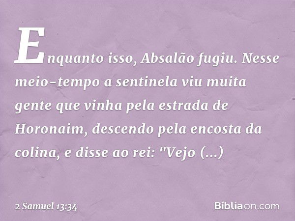 Enquanto isso, Absalão fugiu.
Nesse meio-tempo a sentinela viu muita gente que vinha pela estrada de Horonaim, descendo pela encosta da colina, e disse ao rei: 