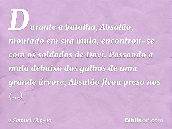 Durante a batalha, Absalão, montado em sua mula, encontrou-se com os soldados de Davi. Passando a mula debaixo dos galhos de uma grande árvore, Absalão ficou pr