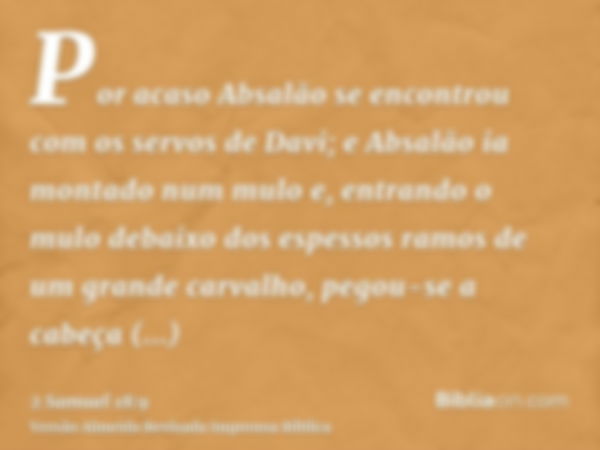 Por acaso Absalão se encontrou com os servos de Davi; e Absalão ia montado num mulo e, entrando o mulo debaixo dos espessos ramos de um grande carvalho, pegou-s