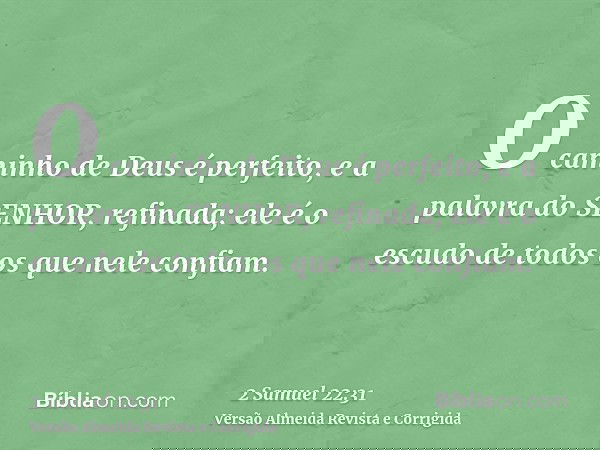O caminho de Deus é perfeito, e a palavra do SENHOR, refinada; ele é o escudo de todos os que nele confiam.