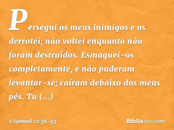 "Persegui os meus inimigos
e os derrotei;
não voltei
enquanto não foram destruídos. Esmaguei-os completamente,
e não puderam levantar-se;
caíram debaixo dos meu