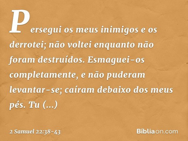 "Persegui os meus inimigos
e os derrotei;
não voltei
enquanto não foram destruídos. Esmaguei-os completamente,
e não puderam levantar-se;
caíram debaixo dos meu