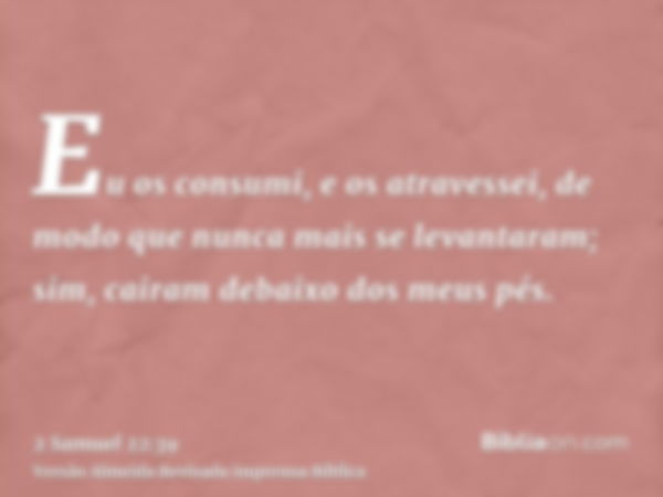 Eu os consumi, e os atravessei, de modo que nunca mais se levantaram; sim, cairam debaixo dos meus pés.