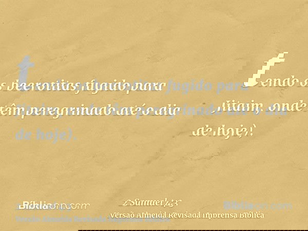 tendo os beerotitas fugido para Jitaim, onde têm peregrinado até o dia de hoje).