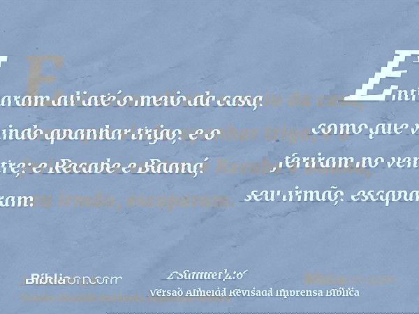 Entraram ali até o meio da casa, como que vindo apanhar trigo, e o feriram no ventre; e Recabe e Baaná, seu irmão, escaparam.
