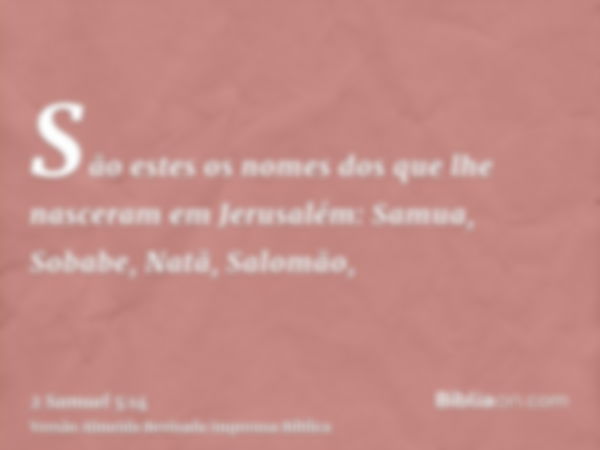 São estes os nomes dos que lhe nasceram em Jerusalém: Samua, Sobabe, Natã, Salomão,