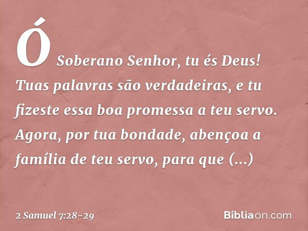 Ó Soberano Senhor, tu és Deus! Tuas palavras são verdadeiras, e tu fizeste essa boa promessa a teu servo. Agora, por tua bondade, abençoa a família de teu servo