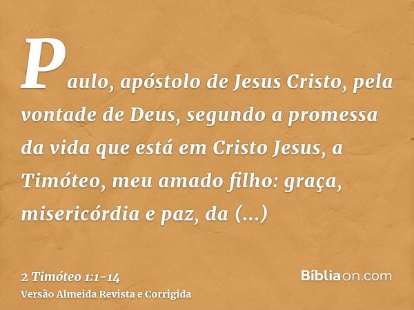 Paulo, apóstolo de Jesus Cristo, pela vontade de Deus, segundo a promessa da vida que está em Cristo Jesus,a Timóteo, meu amado filho: graça, misericórdia e paz