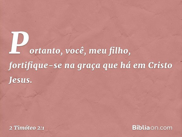 Portanto, você, meu filho, fortifique-se na graça que há em Cristo Jesus. -- 2 Timóteo 2:1