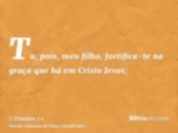 Tu, pois, meu filho, fortifica-te na graça que há em Cristo Jesus;