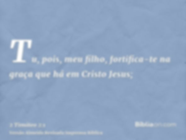 Tu, pois, meu filho, fortifica-te na graça que há em Cristo Jesus;