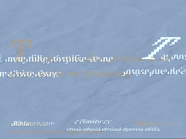 Tu, pois, meu filho, fortifica-te na graça que há em Cristo Jesus;