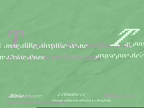 Tu, pois, meu filho, fortifica-te na graça que há em Cristo Jesus.
