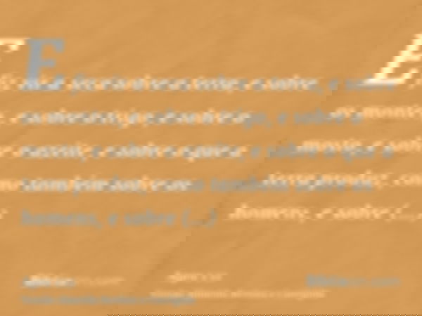 E fiz vir a seca sobre a terra, e sobre os montes, e sobre o trigo, e sobre o mosto, e sobre o azeite, e sobre o que a terra produz, como também sobre os homens