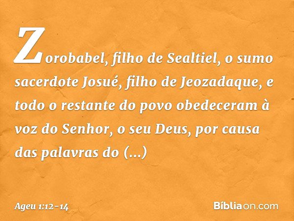 Zorobabel, filho de Sealtiel, o sumo sacerdote Josué, filho de Jeozadaque, e todo o restante do povo obedeceram à voz do Senhor, o seu Deus, por causa das palav