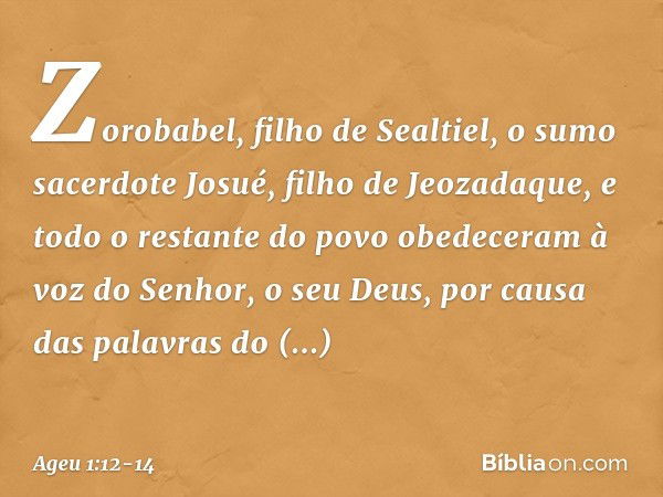 Zorobabel, filho de Sealtiel, o sumo sacerdote Josué, filho de Jeozadaque, e todo o restante do povo obedeceram à voz do Senhor, o seu Deus, por causa das palav