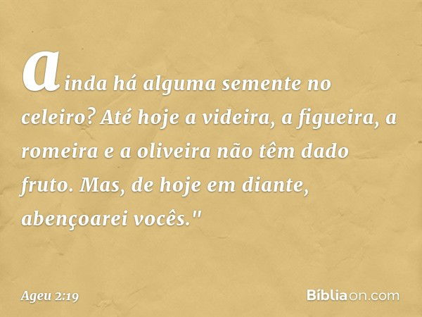 ainda há alguma semente no celeiro? Até hoje a videira, a figueira, a romeira e a oliveira não têm dado fruto. Mas, de hoje em diante, abençoarei vo­cês." -- Ag