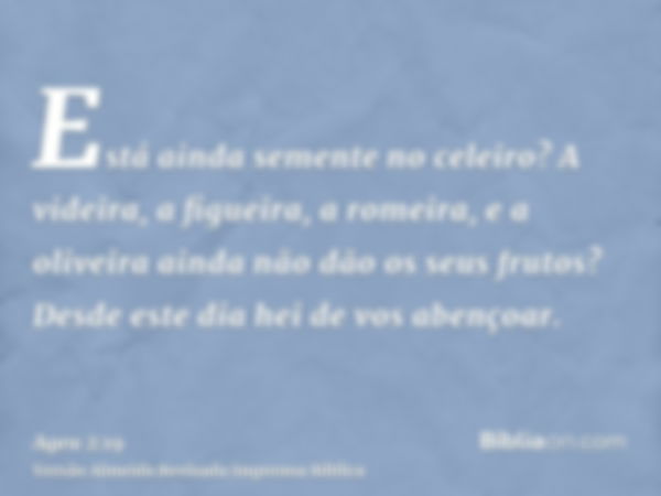 Está ainda semente no celeiro? A videira, a figueira, a romeira, e a oliveira ainda não dão os seus frutos? Desde este dia hei de vos abençoar.