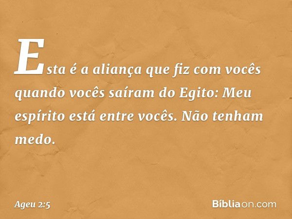 "Esta é a aliança que fiz com vocês quan­do vocês saíram do Egito: Meu espírito está entre vocês. Não tenham medo". -- Ageu 2:5