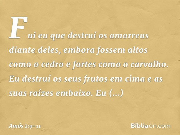 "Fui eu que destruí os amorreus
diante deles,
embora fossem altos como o cedro
e fortes como o carvalho.
Eu destruí os seus frutos em cima
e as suas raízes emba