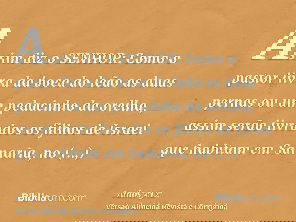 Assim diz o SENHOR: Como o pastor livra da boca do leão as duas pernas ou um pedacinho da orelha, assim serão livrados os filhos de Israel que habitam em Samari