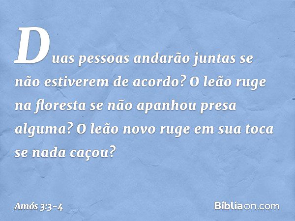 Duas pessoas andarão juntas
se não estiverem de acordo? O leão ruge na floresta
se não apanhou presa alguma?
O leão novo ruge em sua toca
se nada caçou? -- Amós